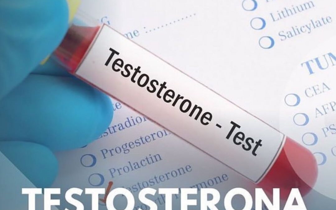 Testosterona Por que Repor na Menopausa