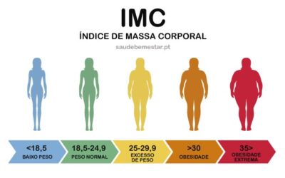 IMC Cálculo: Como Funciona?