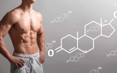 O Que é Bom Para Aumentar a Testosterona?